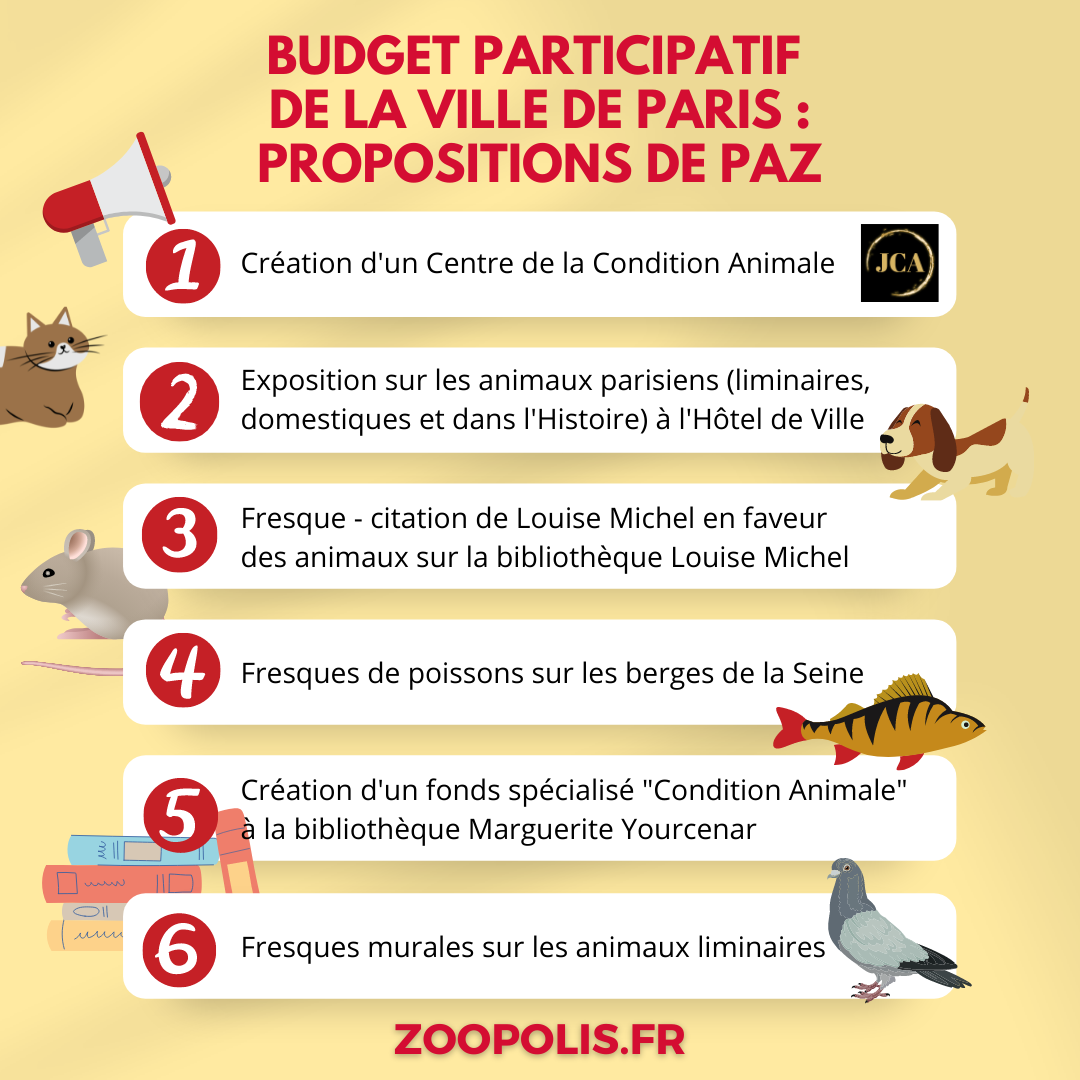 Budget Participatif De Paris 22 Paz