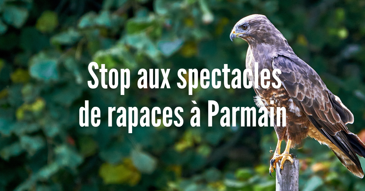 Stop aux spectacles de rapaces à Parmain PAZ — free download