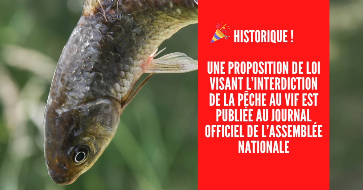 Normandie. Pêche du homard : les règles évoluent