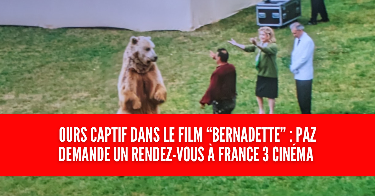 Étiquette De Voyage Geocaching - Bernadette L'ours - Édition Régulière - Non Activée
