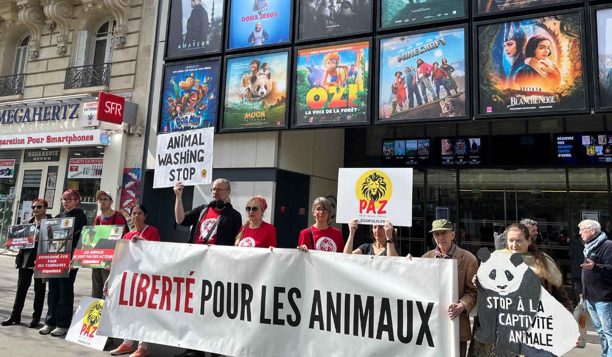 Paris, 12/04/25