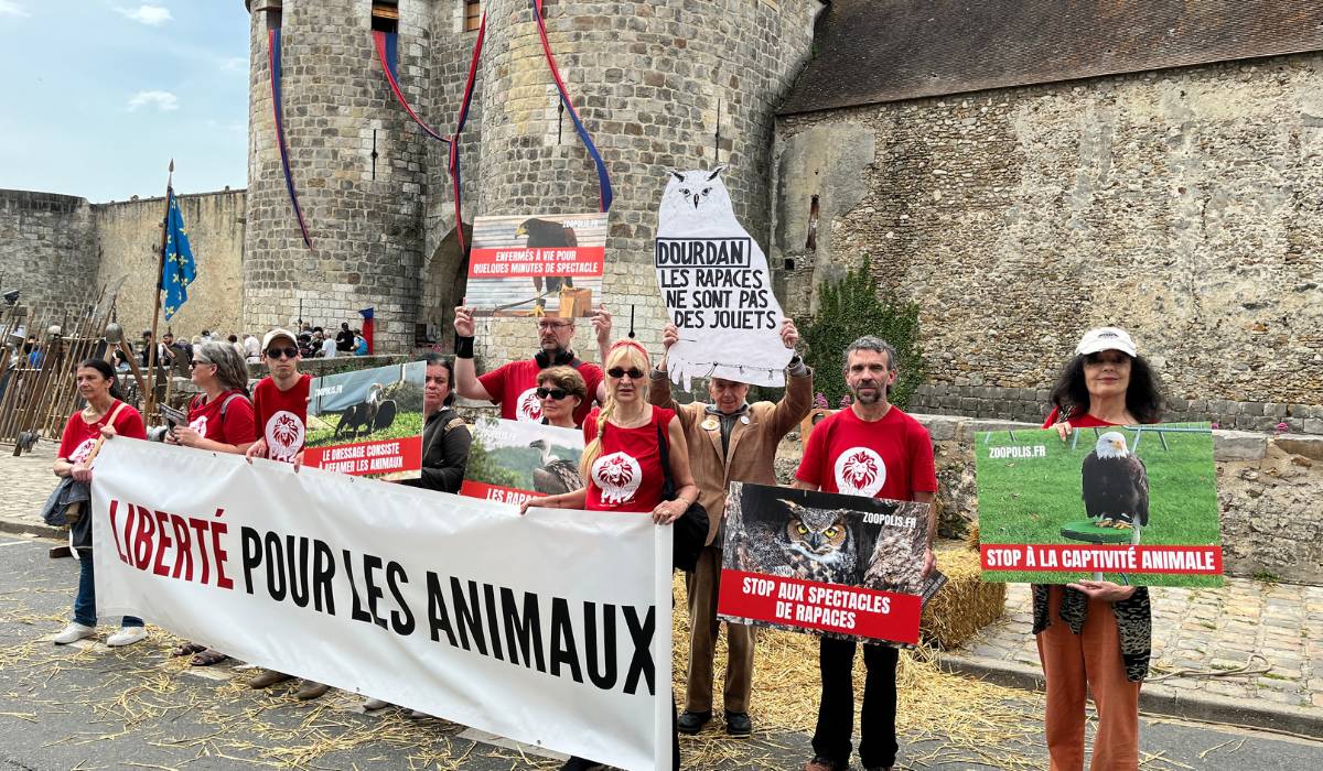 Dourdan 31/05/25