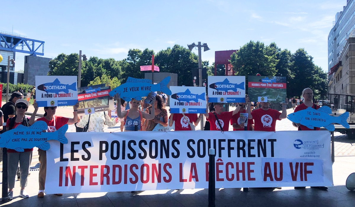 Paris lors des JOP, 10/08/24