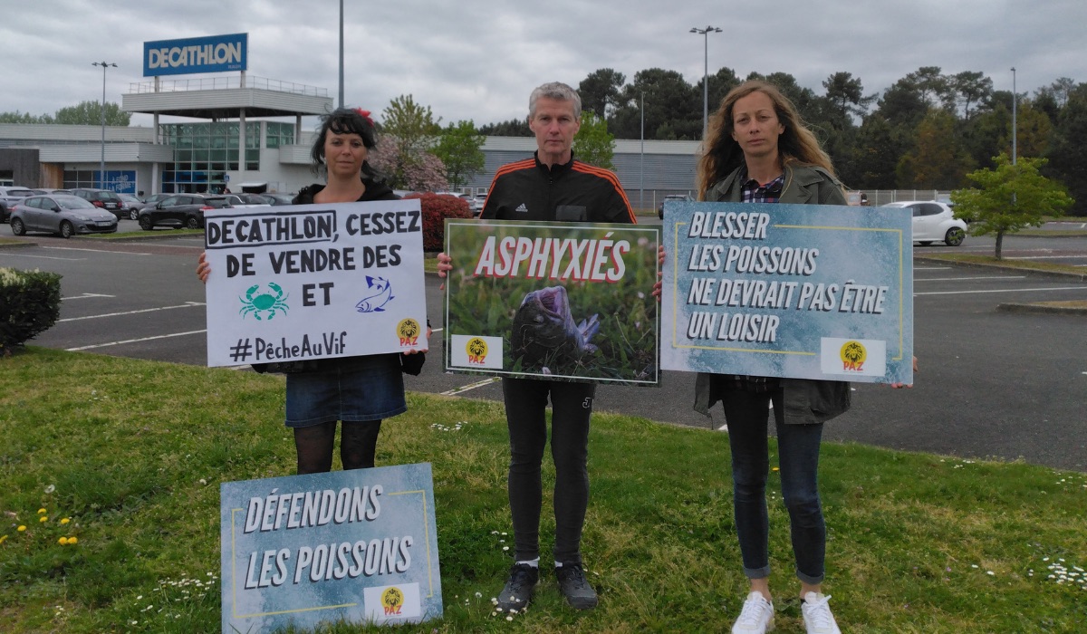 Le Mans Sud Ruaudin 12/04/25