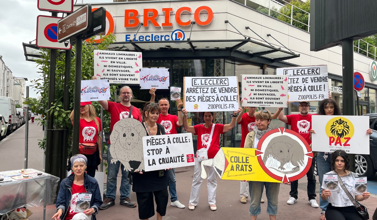 Levallois-Perret 19/07/25