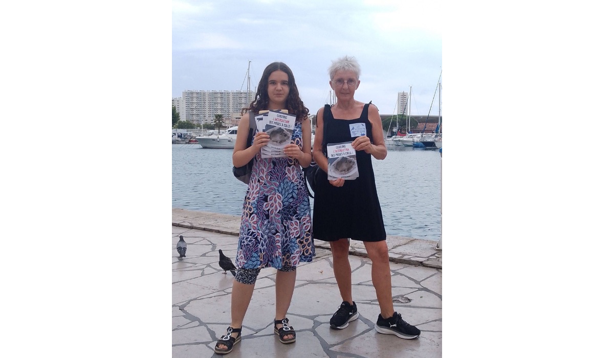 Toulon 19/07/25