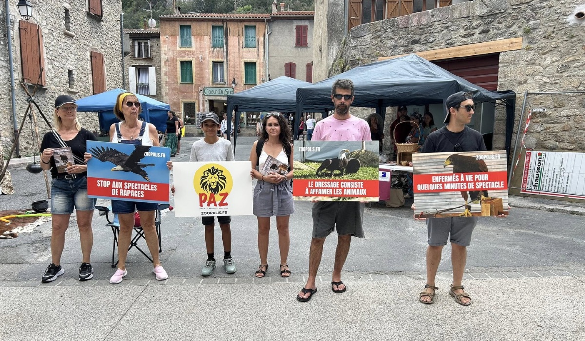Villefranche-de-Conflent 06/07/25