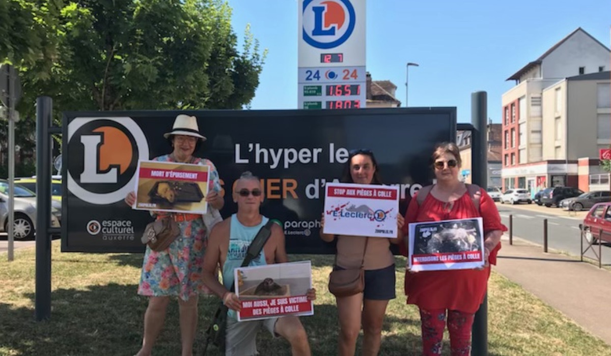 Auxerre 12/07/25
