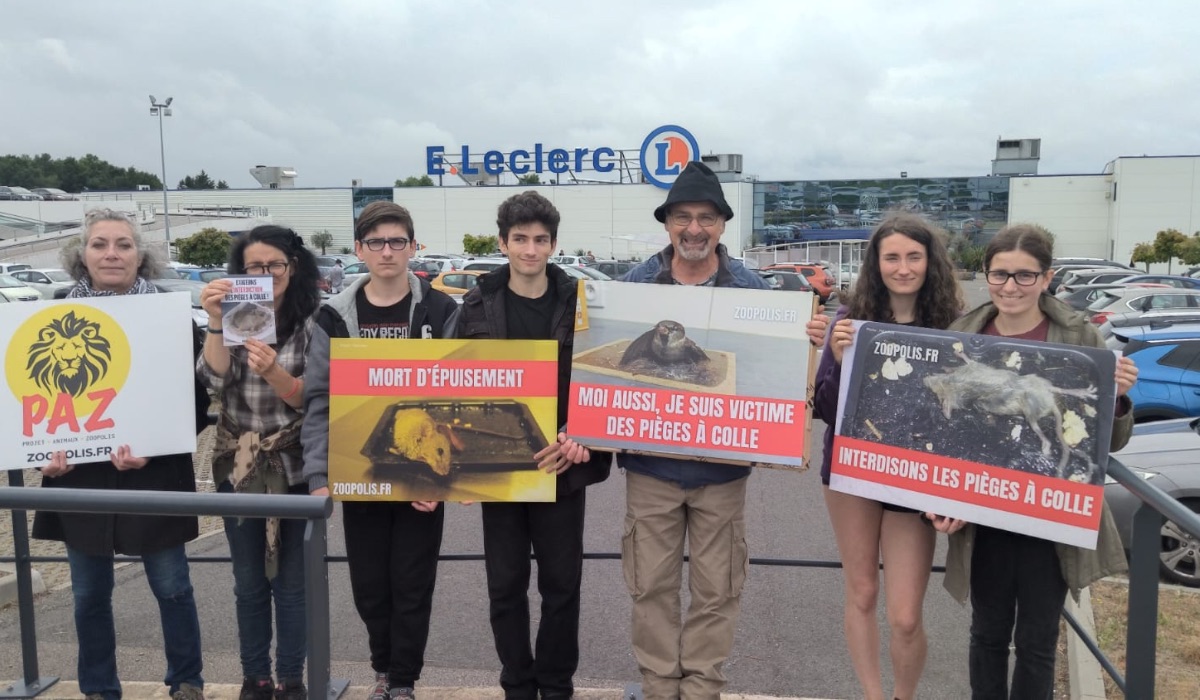 Saint-Junien 19/07/25