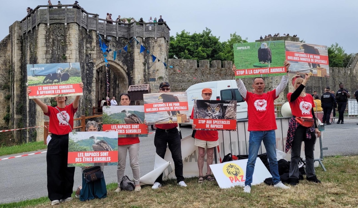 Provins 15/06/25