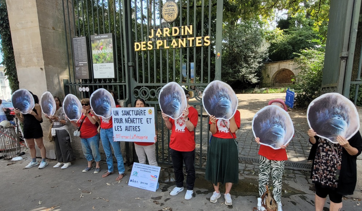 Paris 19/08/25