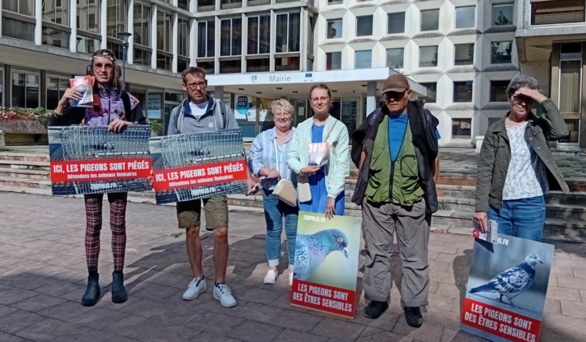 Arras 04/08/25