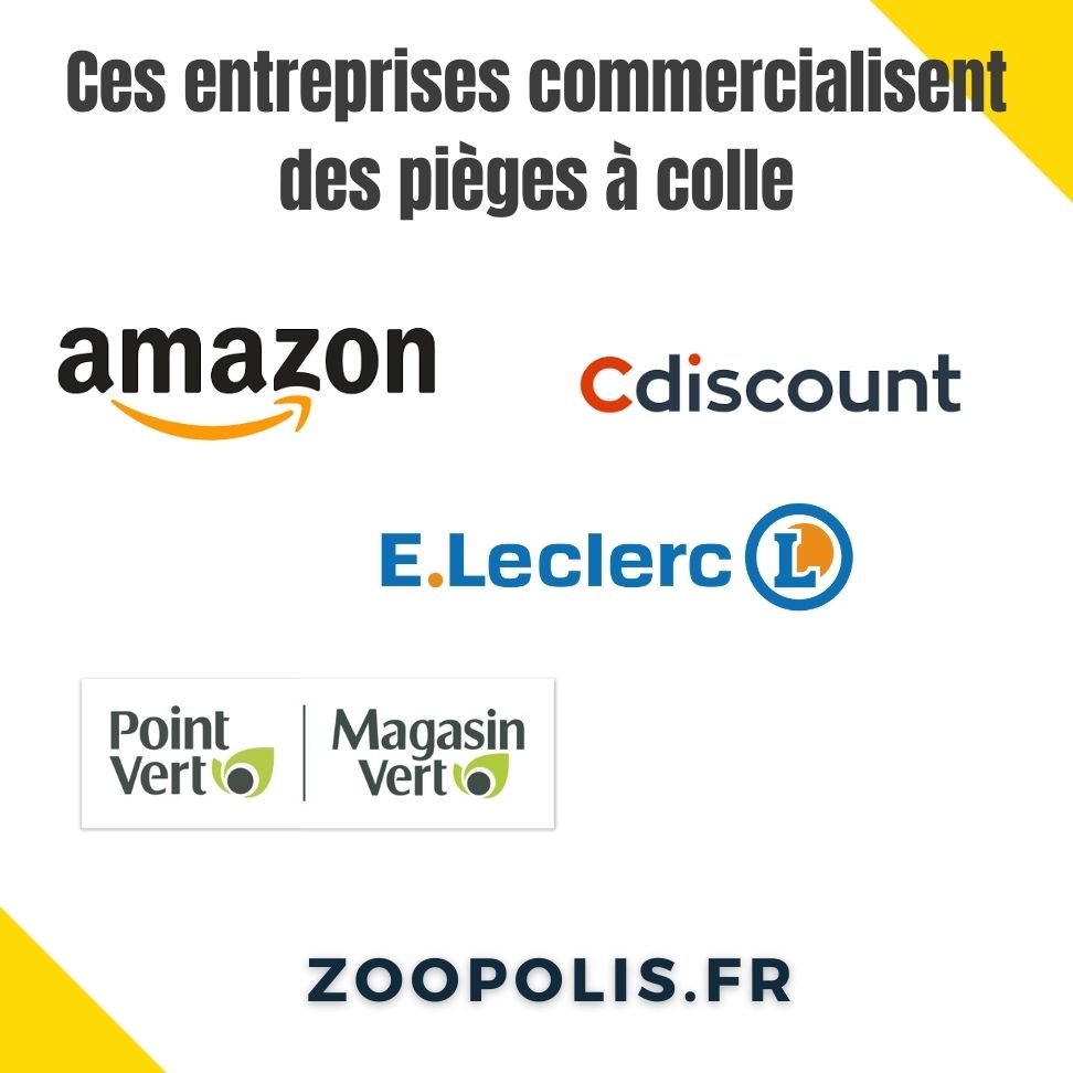 Logos des enseignes qui ne se sont pas engagées à tourner le dos à la vente de pièges à colle.