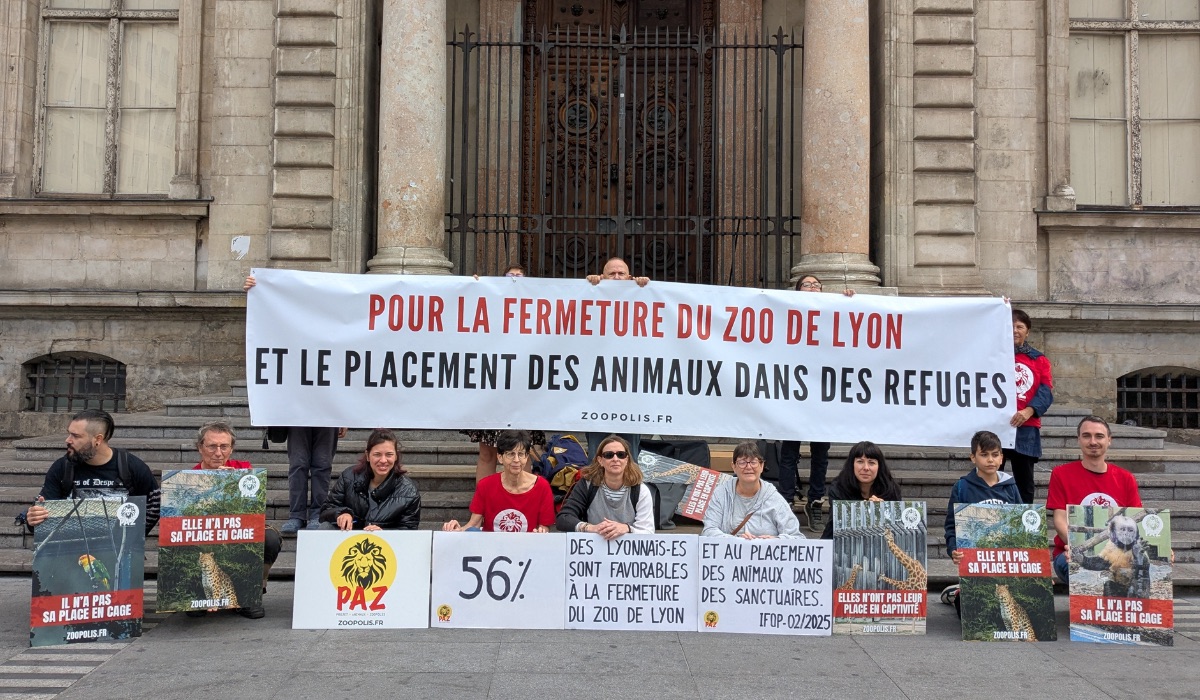 Lyon 13/09/25