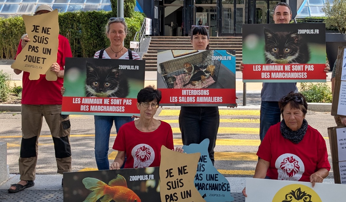Villeurbanne 06/09/25