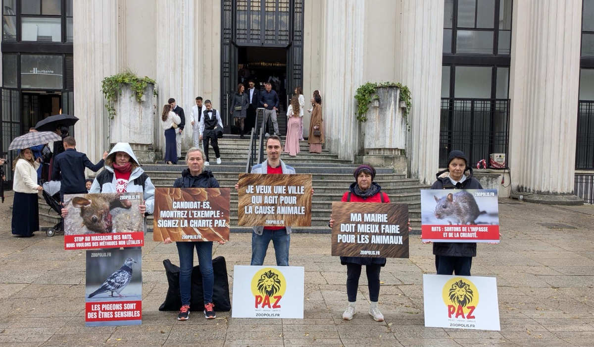 Villeurbanne 25/10/25