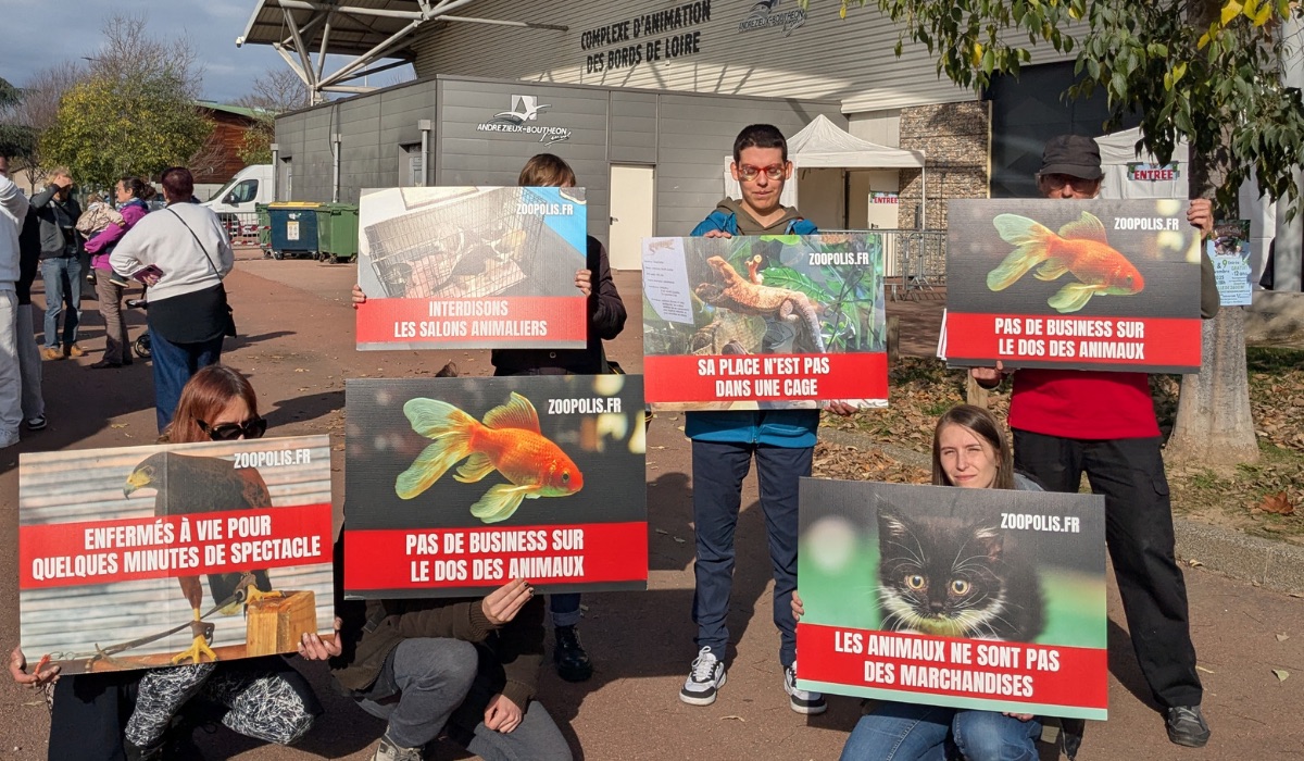 Andrézieux-Bouthéon 08/11/25