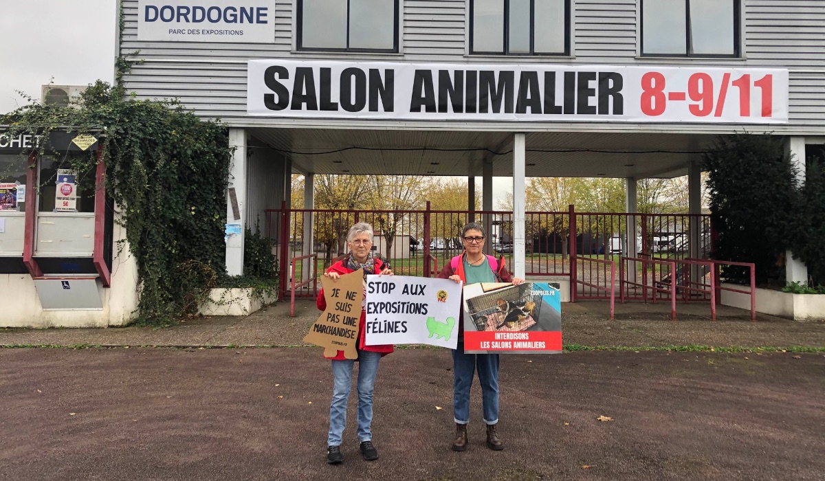 Marsac-sur-L'Isle 08/11/25