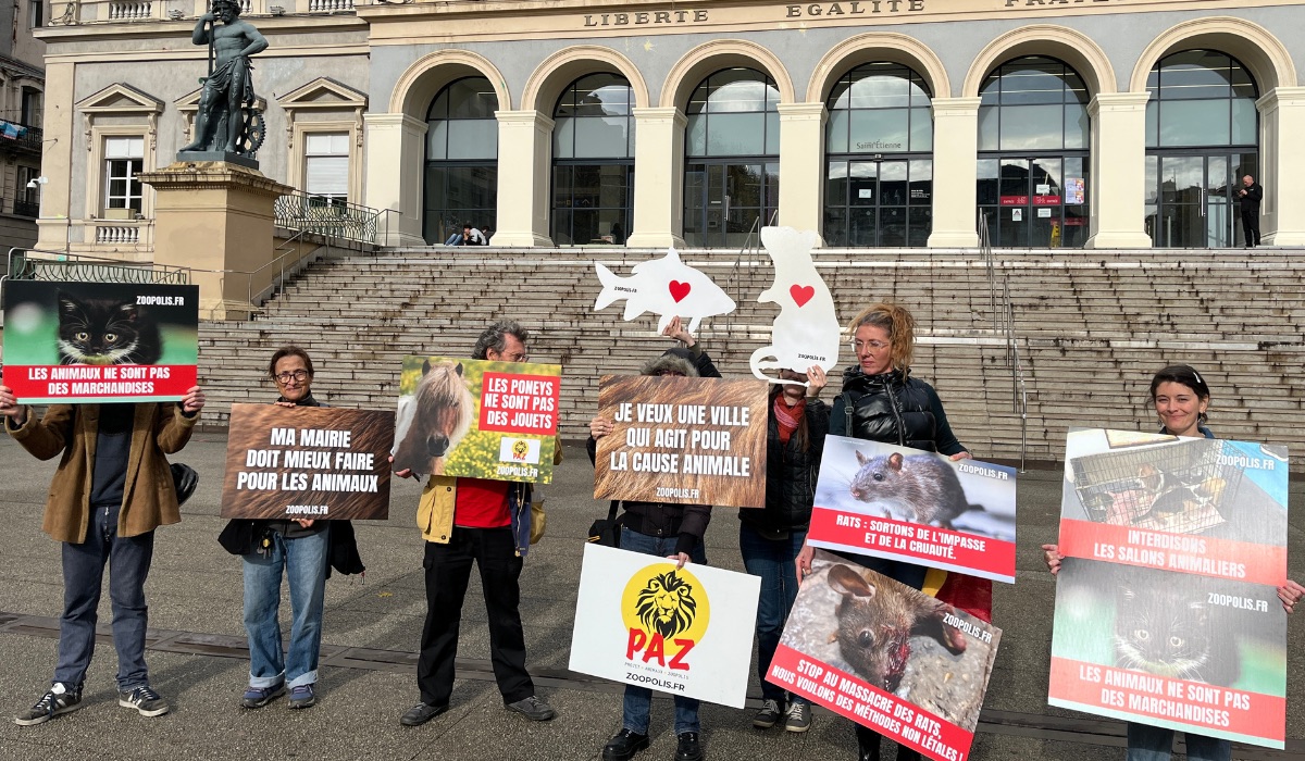 Saint-Étienne 06/11/25