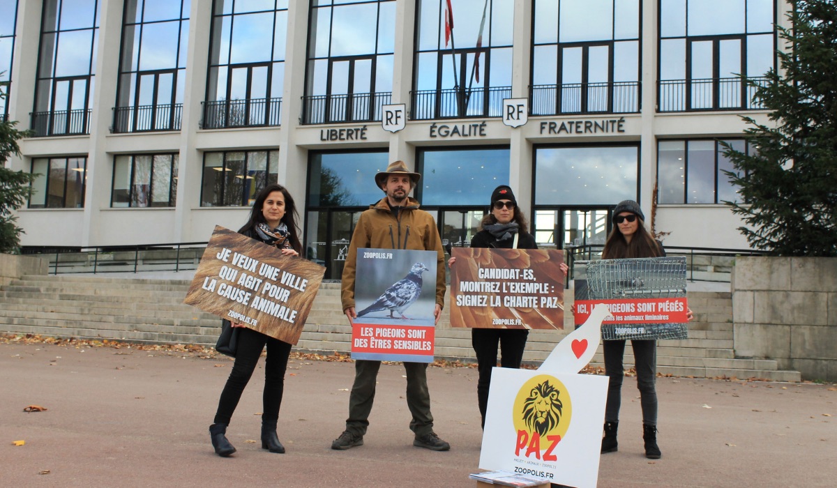 Saint-Nazaire 14/11/25