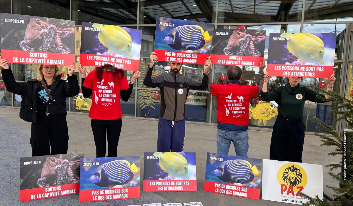 Canet-en-Roussillon 06/12/25