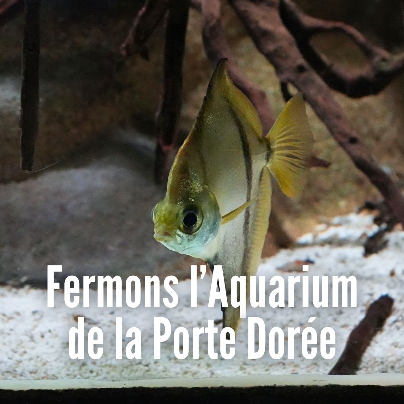Poisson aquarium : Fermons l'Aquarium de la Porte Dorée