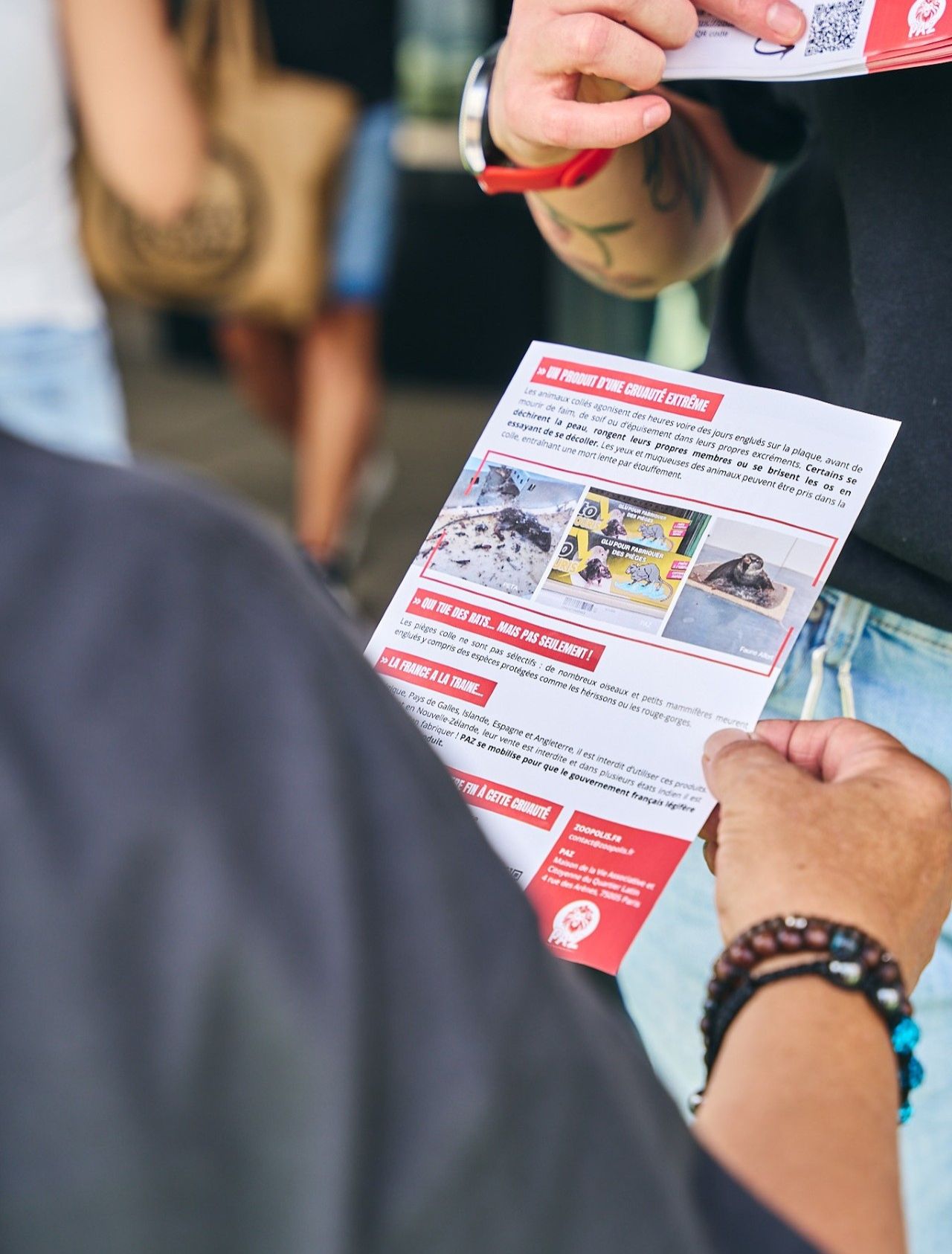 Manifestation contre la vente des pièges à colle au Leclerc Saint-Dié-des-Vosges (photo du verso du tract).