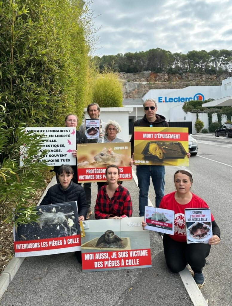 Manifestation contre la vente des pièges à colle au Leclerc Vallauris.