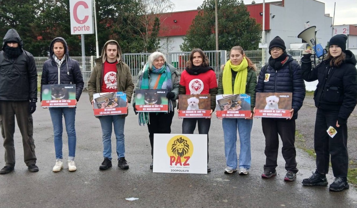 Rennes 17/01/26 et 18/01/26