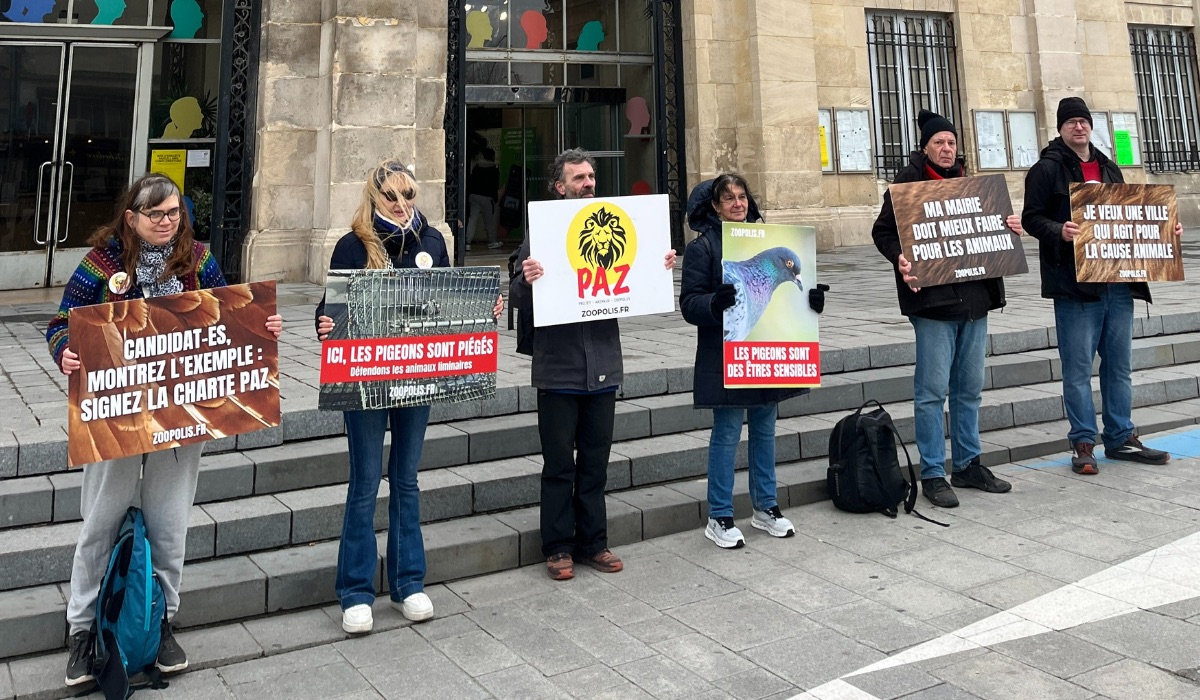 Saint-Denis 23/01/26