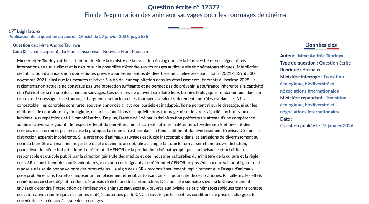 qe taurinya cinéma