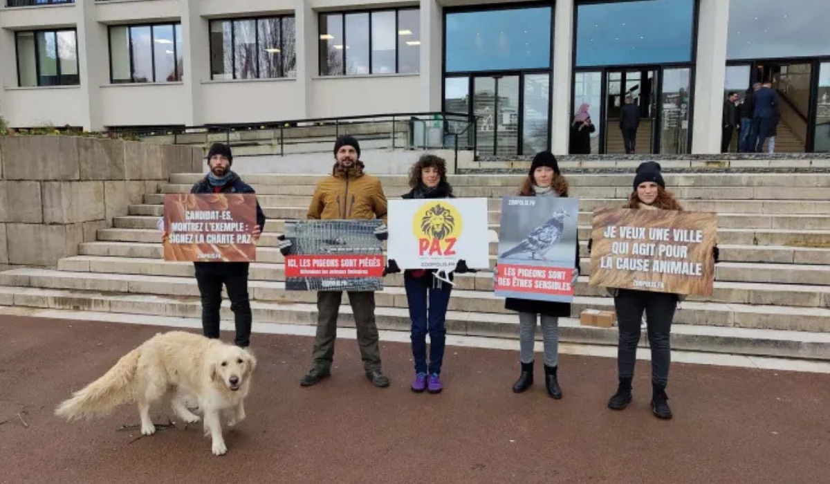 Saint-Nazaire 14/02/26