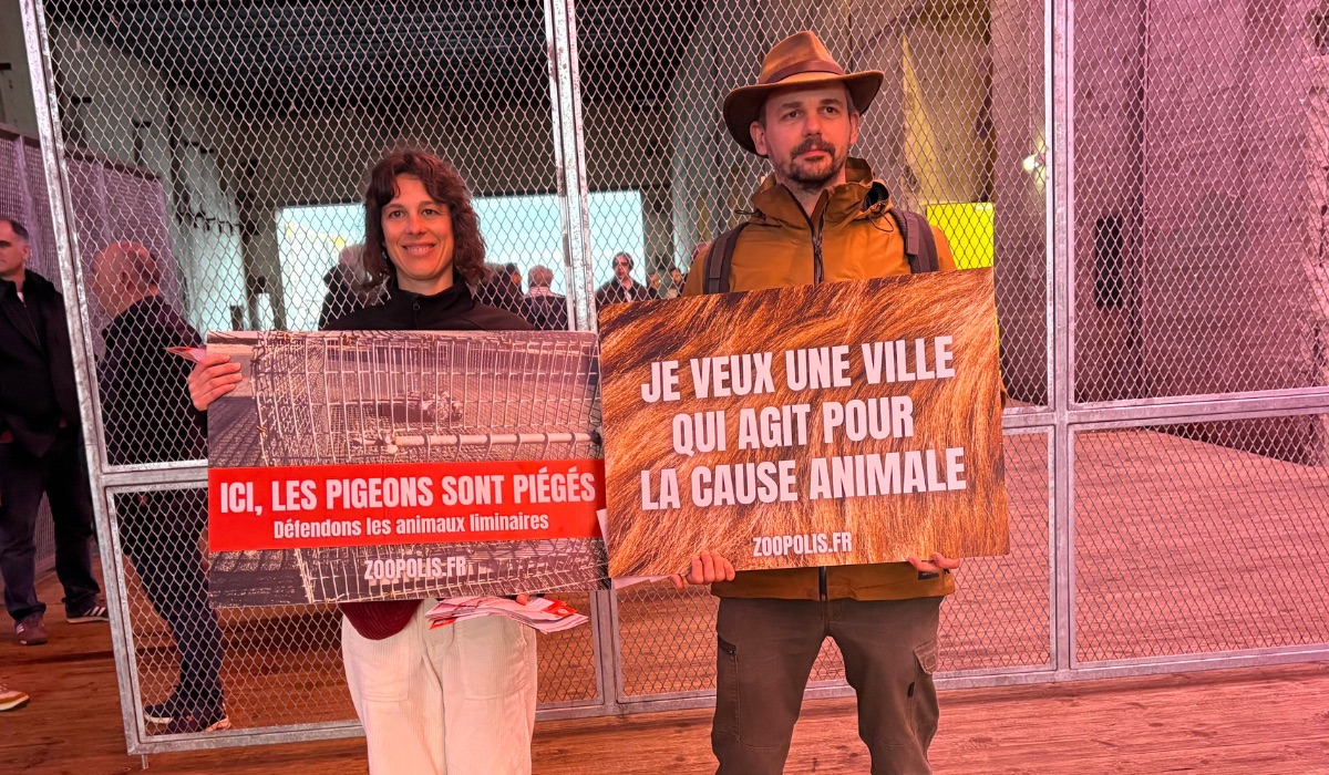 Saint-Nazaire 10/03/26