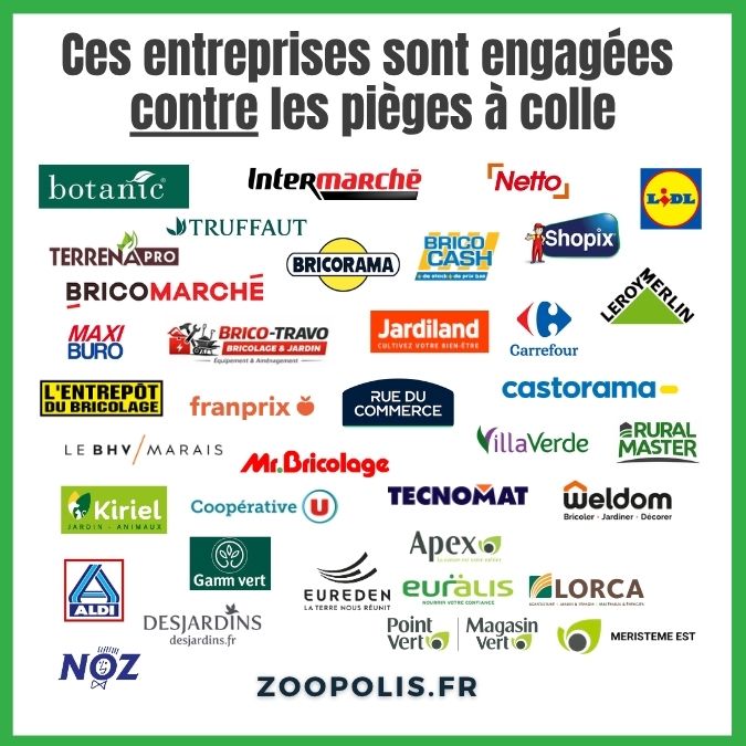 Logos des entreprises engagées contre les pièges à colle.