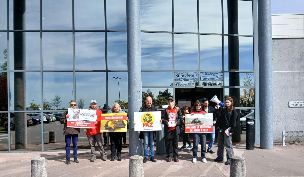 Noyal-sur-Vilaine (Rennes) 04/04/26