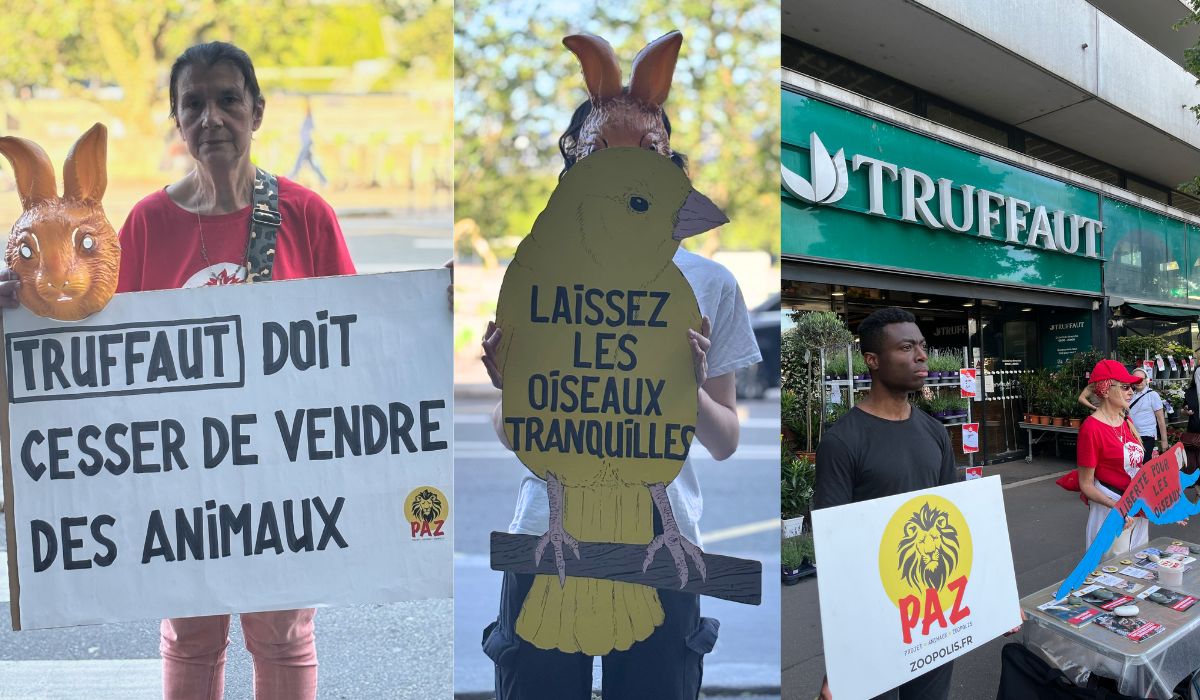 Paris 22/05/26