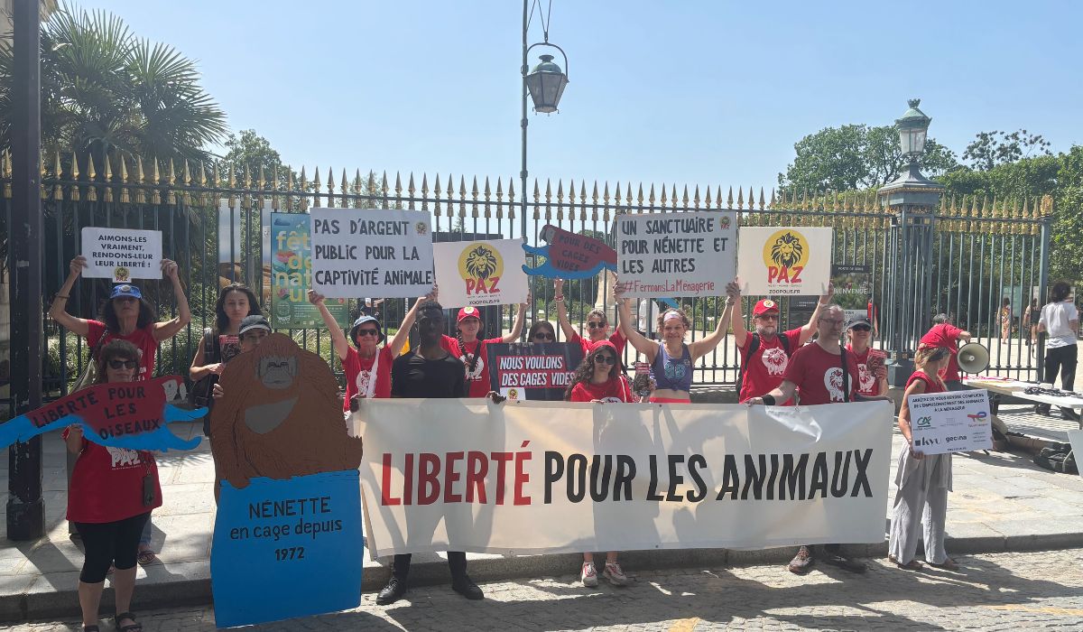 Paris 24/05/26