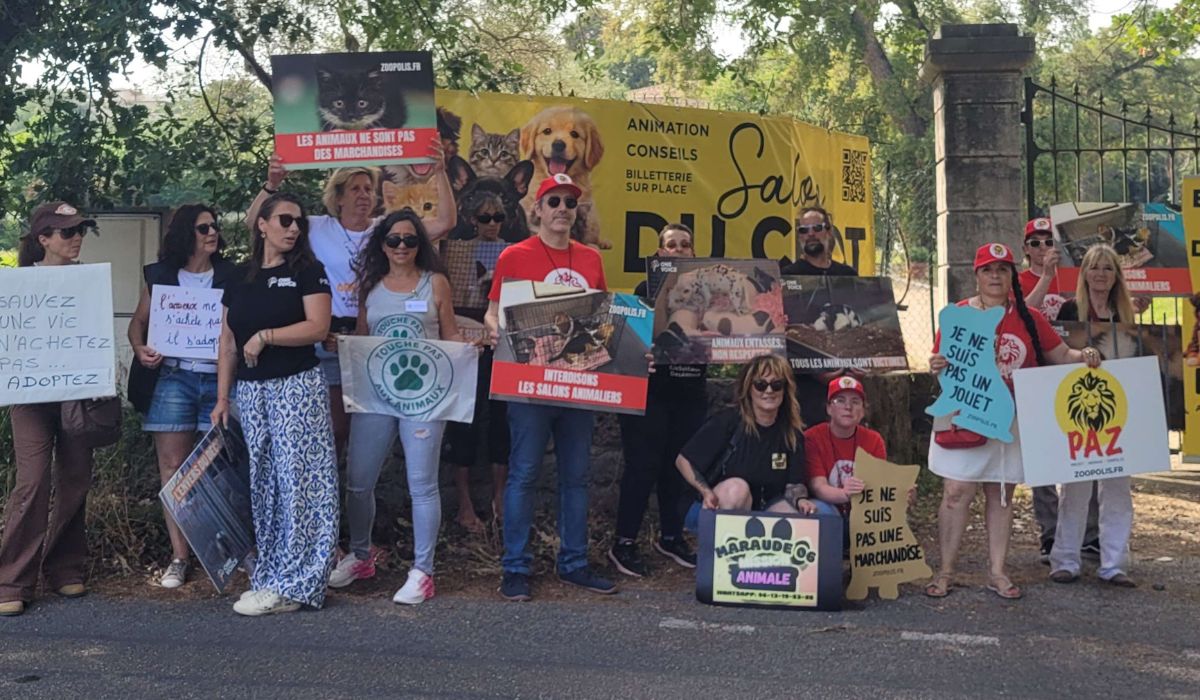 Saint-Maur-des-Fossés (IDF) 31/05/26