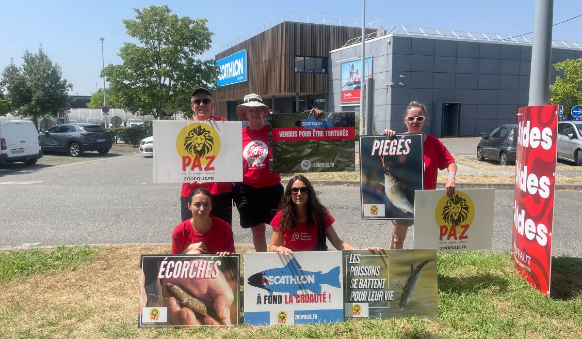 Colomiers (Toulouse) 26/06/26