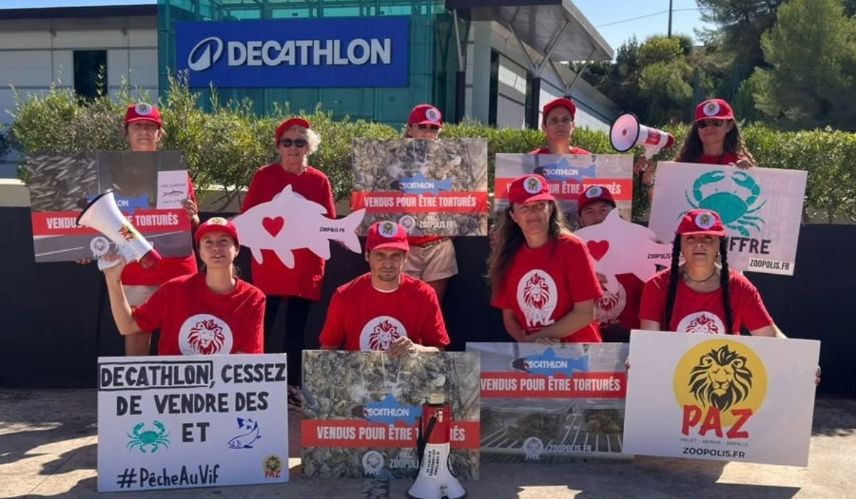 Antibes (Antibes-Nice) 12/09/26