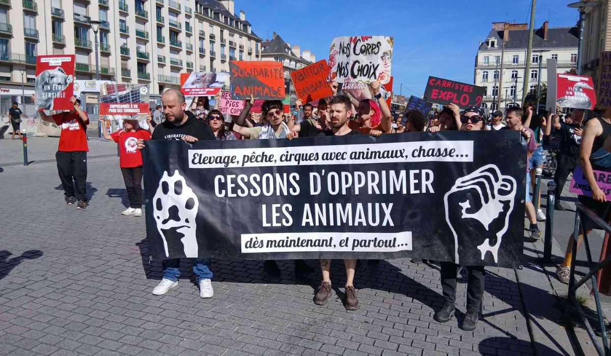Rennes 05/09/26