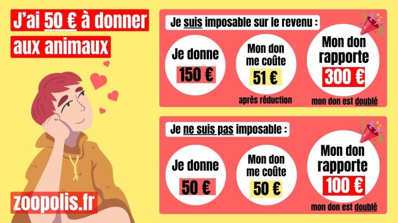 Recette pour un don efficace Tuto visuel pour un don, le plus efficace possible, pour les animaux