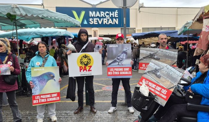 Sevran (IDF) 19/05/26