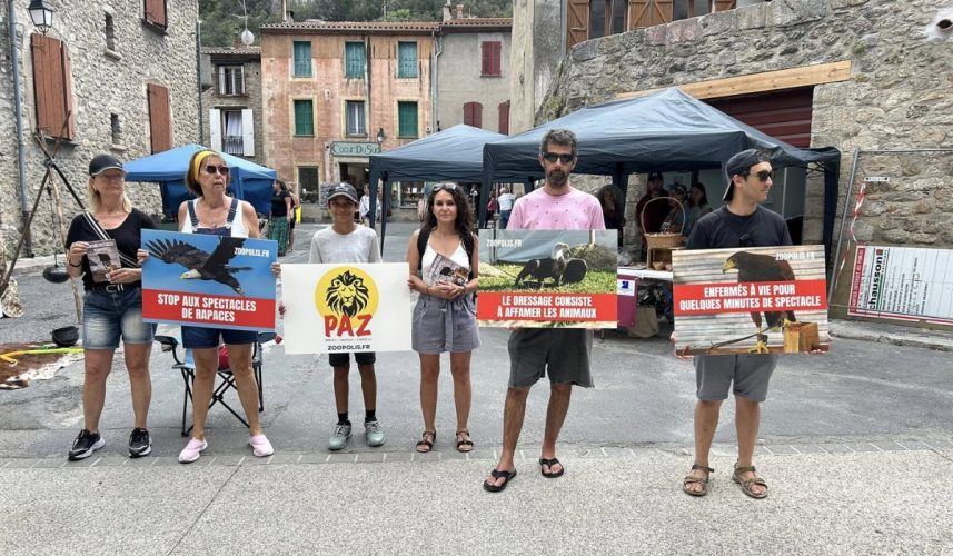 Villefranche-de-Conflent 06/07/25