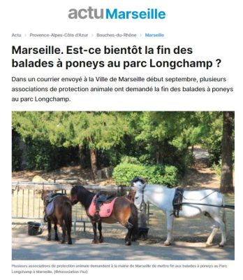 actu_marseille_balades_poney