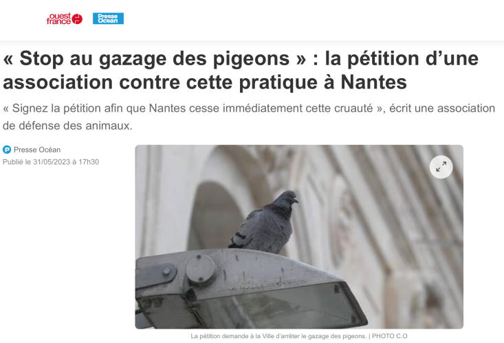 ouestfrance_nantes_pigeons_mai2023
