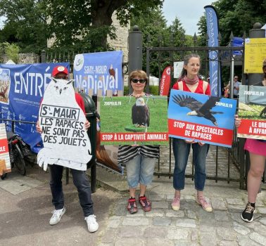 Saint-Maur-des-Fossés (IDF) 31/05/26
